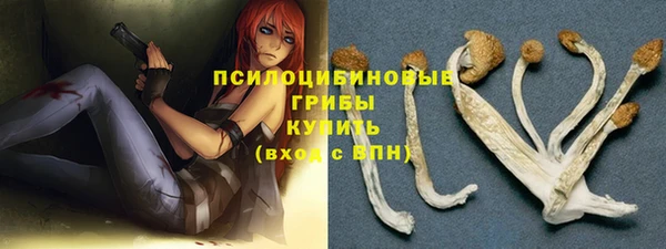 a pvp Майский