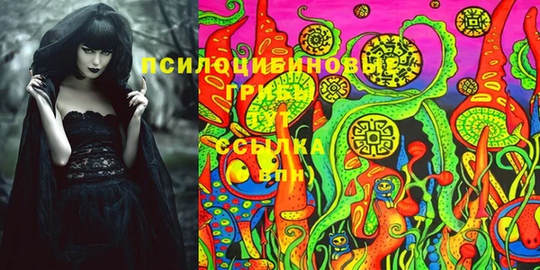 a pvp Майский