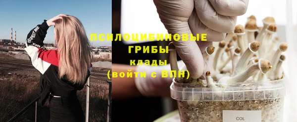 jwh Магас